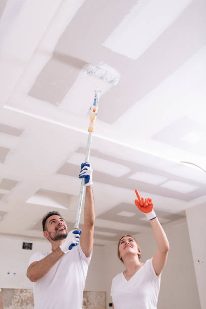 Best Mold Odor Removal Services  in New River, AZ