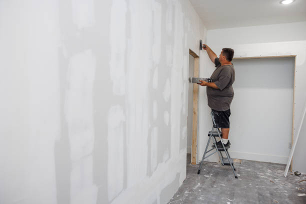 Best Post-Construction Mold Inspection  in New River, AZ
