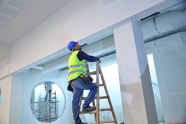 Best Biohazard Mold Removal  in New River, AZ